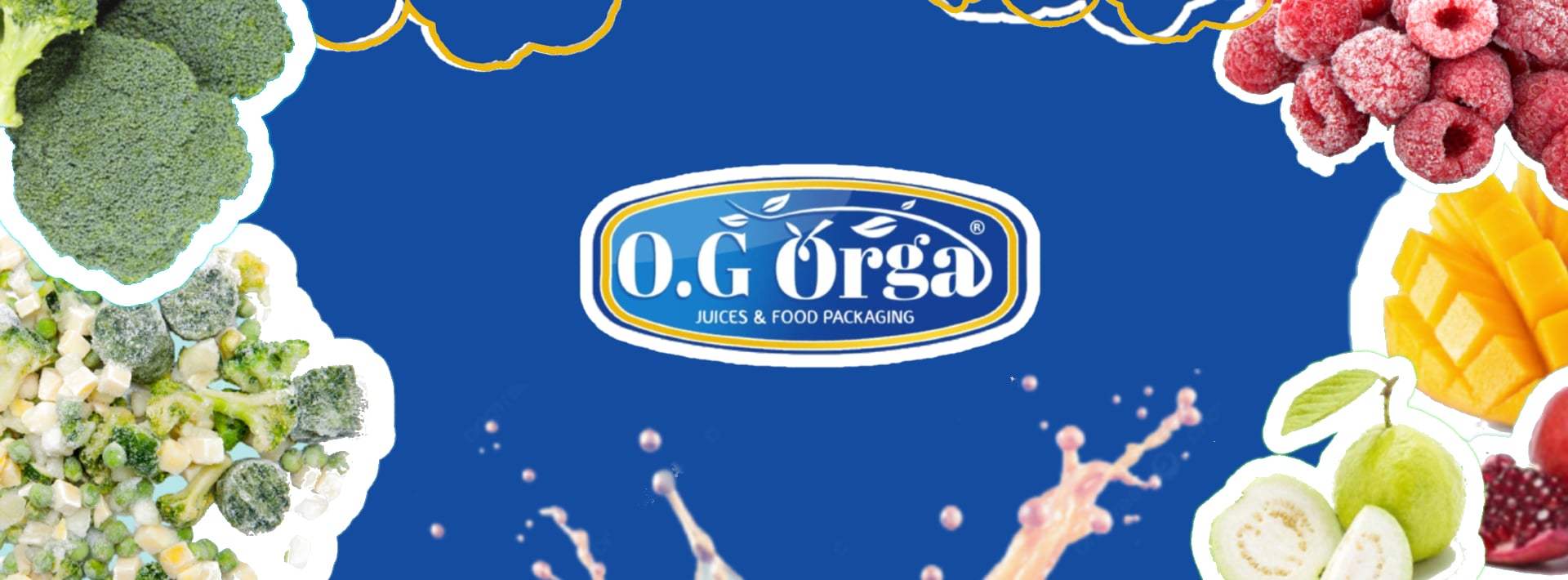 Website cover
